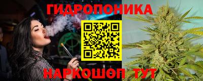 скорость Будённовск