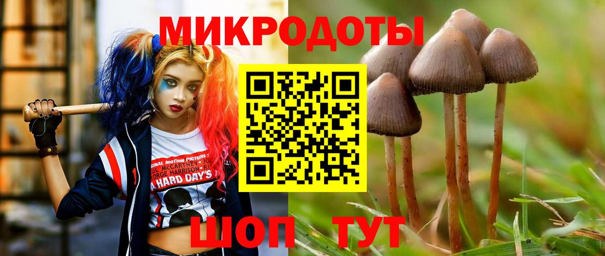 Галлюциногенные грибы Cubensis  как найти наркотики  Боровичи  Вход с VPN 