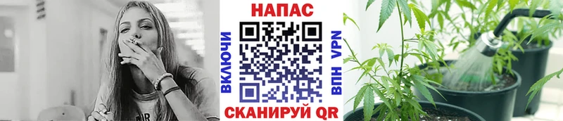 Шишки марихуана VHQ Боровичи